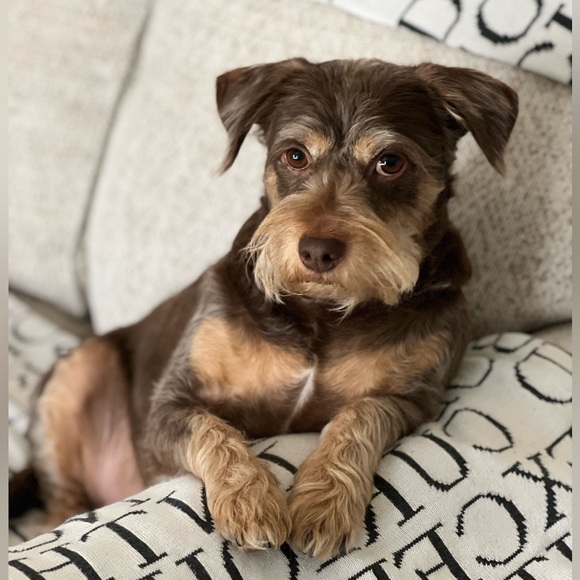 About Me Sylvia avocado2006 - Picture 4 of 11